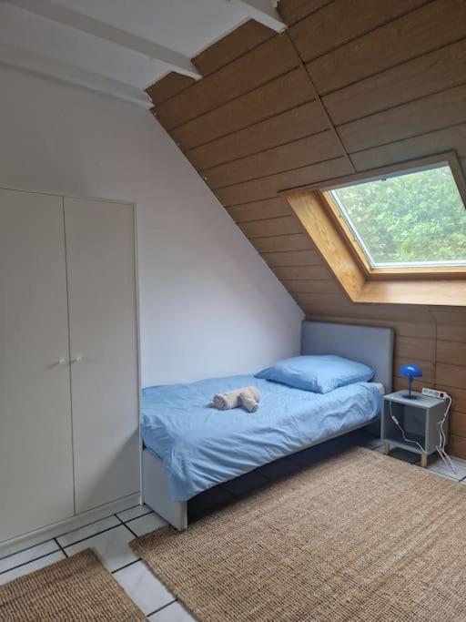 Duplex With Patio Near Exhibition Messe Appartement Cologne